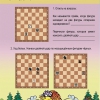 "Шахматы для дошкольников и младших школьников. Часть 2" Абрамов С, Касаткина В. - «globural.ru» - Москва