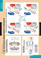 Физика. Электромагнетизм (комплект таблиц) - «globural.ru» - Москва