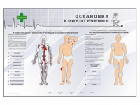 Электрифицированный стенд "Остановка кровотечения" - «globural.ru» - Москва