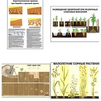 Плакаты ПРОФТЕХ "Агрономия" (5 пл, винил, 70х100) - «globural.ru» - Москва