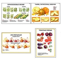 Плакаты ПРОФТЕХ "Ассортимент овощных культур" (12 пл, винил, 70х100) - «globural.ru» - Москва