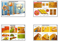 Плакаты "Паркетные и линолеумные работы" - «globural.ru» - Москва