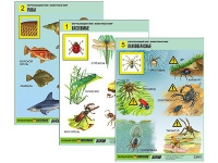 Комплект таблиц для начальной школы "Окружающий мир. Животный мир" - «globural.ru» - Москва