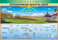 Таблица Возникновение жизни на Земле 1000*1400 винил - «globural.ru» - Москва