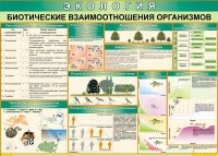 Таблица Биотические взаимоотношения организмов 1000*700 (винил) - «globural.ru» - Москва