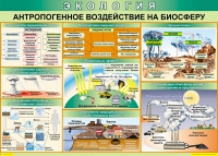 Таблица Антропогенное воздействие на биосферу 1000*700 винил - «globural.ru» - Москва