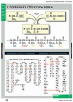 Химия. Белки и нуклеиновые кислоты (комплект таблиц) - «globural.ru» - Москва