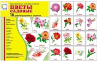 Демонстрационные карточки "Цветы садовые" - «globural.ru» - Москва