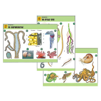 Комплект таблиц по биологии демонстрационный "Зоология 1" (14 таблиц, формат А1, лам.) - «globural.ru» - Москва