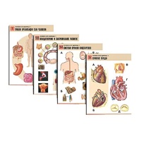 Комплект таблиц по биологии демонстрационный "Человек и его здоровье 1" (20 таблиц, формат А1, лам.) - «globural.ru» - Москва