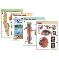 Комплект таблиц по всему курсу биологии (120 штук, формат А1, полноцв, лам) - «globural.ru» - Москва