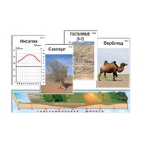 Модель-аппликация "Природные зоны" (ламинированная) - «globural.ru» - Москва