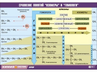 Таблица демонстрационная "Сравнение понятий изомер и гомолог" (винил 100х140) - «globural.ru» - Москва