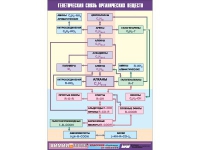 Таблица демонстрационная "Генетическая связь органических веществ" (винил 100x140) - «globural.ru» - Москва