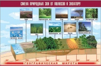 Таблица демонстрационная "Смена природных зон от полюсов к экватору" (винил 70x100) - «globural.ru» - Москва