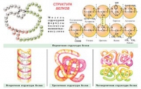 Плакаты и таблицы по общей химии - «globural.ru» - Москва