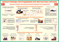  Таблица Общий порядок оказания первой помощи пострадавшим 1000*1400 винил	 - «globural.ru» - Москва