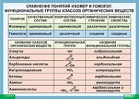 Химия. Сравнение понятий изомер и гомолог. Функциональные группы классов органических веществ (винил) - «globural.ru» - Москва