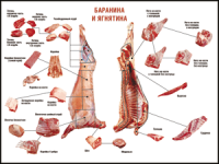 Правила разделки мясных туш "Баранина и ягнятина" 1000*1400 винил - «globural.ru» - Москва