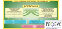 Стенд "Методы селекции и биотехнологии" - «globural.ru» - Москва