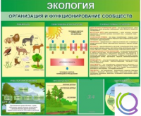 Стенд "Экология. Организация и функционирование сообществ" - «globural.ru» - Москва