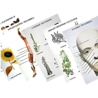 Таблицы по природоведению 1-3 класс - «globural.ru» - Москва