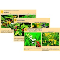 Гербарий фотографический "Ядовитые растения" - «globural.ru» - Москва