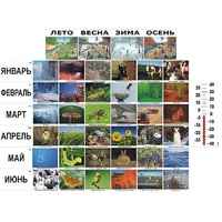 Фенологические наблюдения - «globural.ru» - Москва