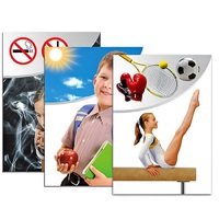 Модель-аппликация "Здоровье человека" - «globural.ru» - Москва