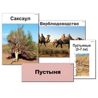 Модель-аппликация "Природные зоны России" - «globural.ru» - Москва