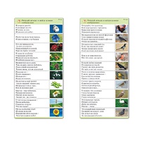 Комплект карточек (10) "Обучающий калейдоскоп. Природа" - «globural.ru» - Москва