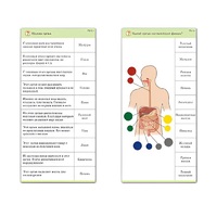 Комплект карточек (10) "Обучающий калейдоскоп. Человек" - «globural.ru» - Москва