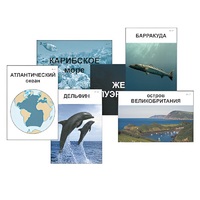 Модель-аппликация "Океаны. Знакомство" (ламинированная) - «globural.ru» - Москва