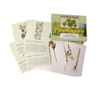 Гербарий "Систематика растений. Семейство Бобовые. Злаки" (раздаточный) - «globural.ru» - Москва