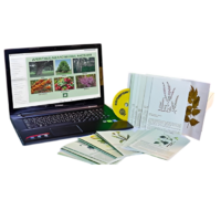 Гербарий натурально-интерактивный "Лекарственные растения" - «globural.ru» - Москва