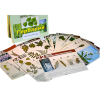 Гербарий к курсу основ общей биологии - «globural.ru» - Москва