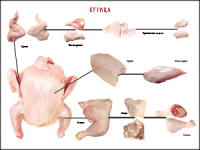 Правила разделки мясных туш "Курица" 1000*1400 винил - «globural.ru» - Москва