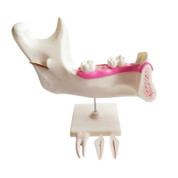 Комплект моделей - «globural.ru» - Москва