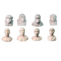 Набор палеонтологических муляжей - «globural.ru» - Москва