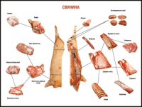 Правила разделки мясных туш "Свинина" 1000*1400 винил - «globural.ru» - Москва