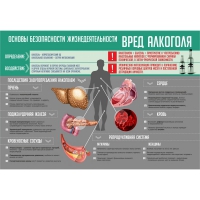 Стенд "Алкоголь" - «globural.ru» - Москва