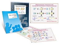 Комплект транспарантов «Виды химических связей» - «globural.ru» - Москва