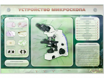 Электрифицированный стенд "Устройство микроскопа и правила работы c ним" - «globural.ru» - Москва