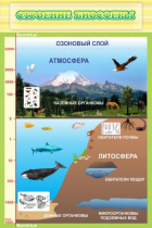 Стенд "Строение биосферы" - «globural.ru» - Москва