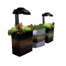 Учебная установка "Аквапоника"  - «globural.ru» - Москва