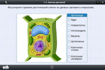 Интерактивные курсы. Биология 9 класс. Расширенный - «globural.ru» - Москва