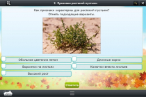 Интерактивные курсы. Окружающий мир 3 класс. Базовый - «globural.ru» - Москва