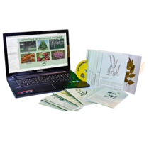 Гербарий натурально-интерактивный "Лекарственные растения" - «globural.ru» - Москва