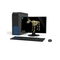 Макет масштабный «Скелет Коровы» Масштаб 1:2 - «globural.ru» - Москва