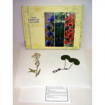 Гербарий ядовитых растений (20 видов) - «globural.ru» - Москва